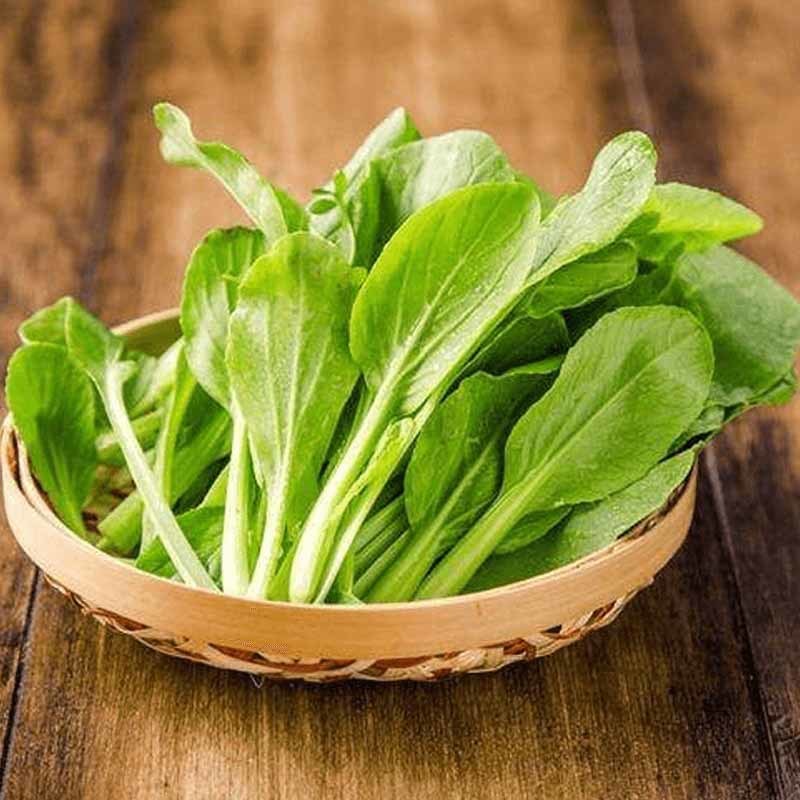 徐州食材批发